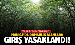Valilik duyurdu… Manisa’da ormanlık alanlara giriş yasaklandı!