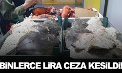 İzmir’de su ürünleri denetimi… Binlerce lira ceza kesildi!