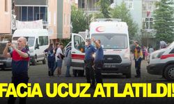 Fareleri kovmak isterken faciaya neden oluyorlardı!