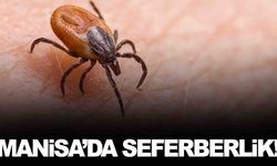 Yaz aylarının en büyük tehlikesi… Manisa’da seferberlik başladı!