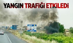 Yol kenarında çıkan yangın endişelendirdi