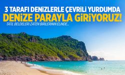 3 tarafı denizlerle çevrili Türkiye'de denize parayla giriyoruz