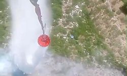 Kemalpaşa'daki orman yangını kontrol altında
