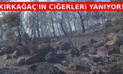 Kırkağaç dün akşamdan beri yanıyor!