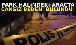 Tarlada park halindeki araçta ceset bulundu