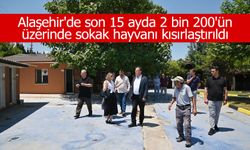 Alaşehir'de 2 bin 200 sokak hayvanı kısırlaştırıldı