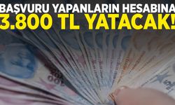 Başvuru yapanların hesabına 3 bin 800 TL yatacak!