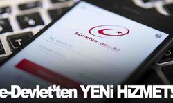 e-Devlet’ten yeni hizmet… Sistem entegre edildi!