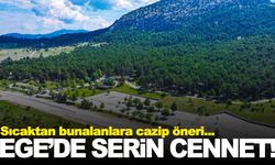 Ege’deki yayla son dönemin gözdesi… Sıcaktan bunalanlar için birebir!