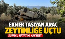 Ekmek taşıyan araç zeytinliğe uçtu: Sürücü hayatını kaybetti