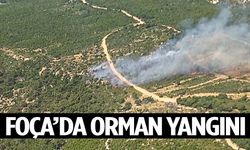 Foça’da orman yangını! Havadan ve karadan müdahale sürüyor