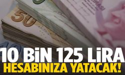 Hesaplarınızı kontrol edin! 10 bin 125 lira hesabınıza yatacak!