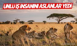 İş insanını aslanlar yedi