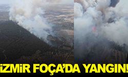 İzmir Foça’da orman yangını: Havadan ve karadan müdahale sürüyor