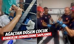 İzmir’de ağaçtan düşen çocuk dehşeti yaşadı! Korkuluk demirlerine saplandı