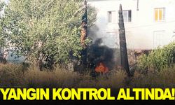 İzmir’de çıkan yangın kontrol altında… Bilançosu belli oldu!
