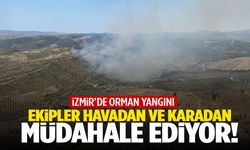 İzmir’de ormanlık alanda yangın! Ekipler havadan ve karadan müdahale ediyor