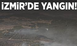 İzmir’de ormanlık alanda yangın!