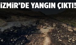 İzmir’de otluk ve ağaçlık alandaki yangın