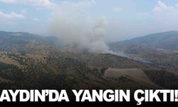 Aydın’da zirai alanda yangın: Müdahale sürüyor