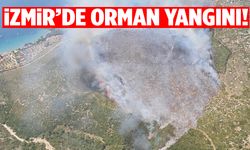 İzmir orman yangını: Müdahale sürüyor