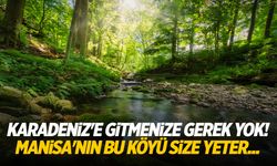 Karadeniz'i aratmayan Manisa köyü!