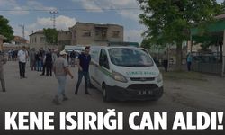 Kene ısırması sonucu bir kişi hayatını kaybetti