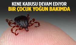 Kene kabusu sürüyor… 14 yaşındaki çocuk yoğun bakımda!