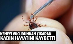 Kene yine can aldı... 3 çocuk annesi kadın hayatını kaybetti