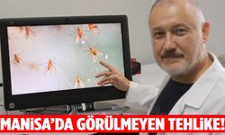 Tropik hastalık Manisa’nın kapısında!