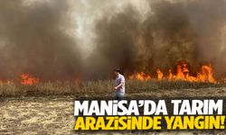 Manisa’da ekili arazi alev aldı!