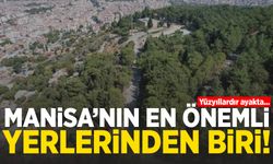 Manisa’da herkes biliyor! Şehrin en büyük miraslarından biri…