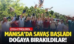 Manisa’da savaş başladı! Doğaya bırakıldılar…