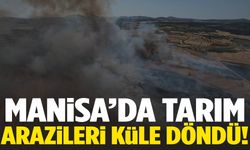 Manisa’da tarım arazileri küle döndü!