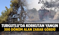 Manisa’da tarım arazisindeki yangın ormana da sıçradı! 300 dönüm alan zarar gördü…