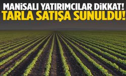Manisa’da yatırımcıların dikkatine… 11 dönümlük tarla satışta!