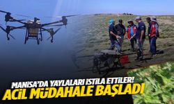 Manisa’da yaylaları istila ettiler! Savaş başladı…
