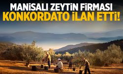 Manisalı zeytin fabrikası konkordato ilan etti!