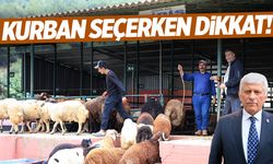 Manisalılara uyarı! Kurban seçerken bunlara dikkat edin!