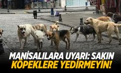 Manisalılara uyarı: Sakın köpeklere yedirmeyin!