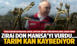 Manisa’yı zirai don vurmuştu… Tarım sektörü ciddi zarar gördü! Üretici perişan…