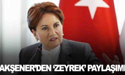 Meral Akşener’den Ferdi Zeyrek için ‘Geçmiş olsun’ mesajı