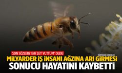 Milyarder iş insanının şoke eden ölümü… Arı yutunca yaşamını yitirdi!