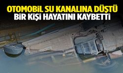 Otomobil su kanalına düştü: 1 kişi hayatını kaybetti