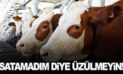 Bakan Yumaklı üreticiye güzel haberi verdi… Satamadım diye üzülmeyin!