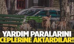 Sokak hayvanları için toplanan yardımı kendi hesaplarına aktardılar