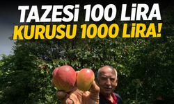 Tazesi 100 kurusu 1000 lira