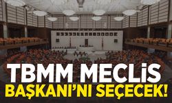 TBMM’de meclis başkanı seçimi bu hafta yapılacak