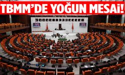 TBMM’de yoğun mesai haftası