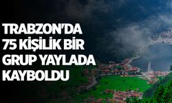 Trabzon'da 75 kişilik bir grup yaylada kayboldu